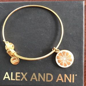 Alex and Ani bangle